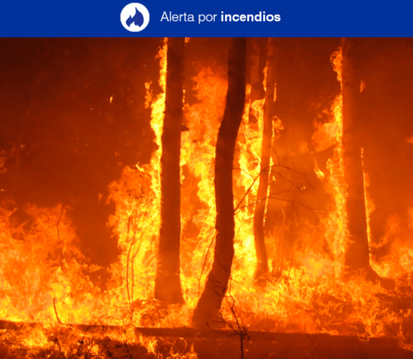 Gran Canaria, Tenerife, La Palma, El Hierro yÂ La Gomera entran desde este viernes en alerta por incendios forestales / TA